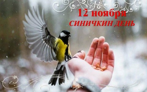 Синичкин день: тёплый праздник в холодный ноябрь!