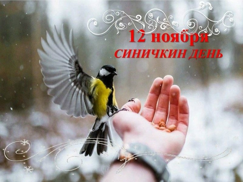 clxX83tOWcw6ShYyxh99ezUnKcE8lPYwJTVXtKORy3QXz6i5TQ5IQkMiVY8TLE5sckaHnTjMKChJz20Pz5fIOIid