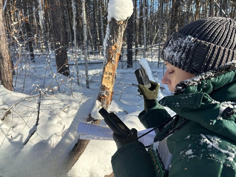 photo_5199445902429912238_y (1)