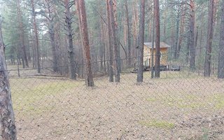 photo_5212933972348833777_y