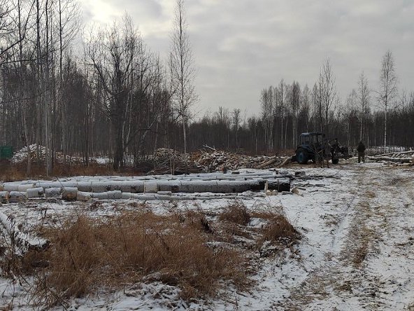 photo_5217434243376549324_y