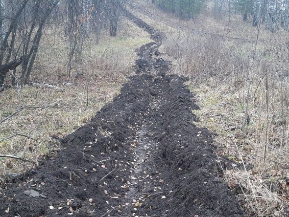 photo_5217444100326493842_y