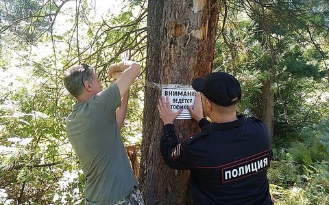 Патрулирование Саяно-Шушенского лесничества:напоминание о правилах.