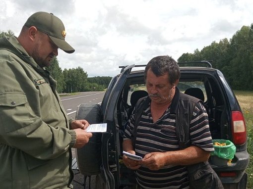 photo_5231033063314682444_y