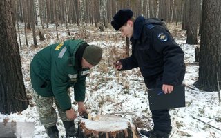 photo_5233475963406977921_y (1) (1)