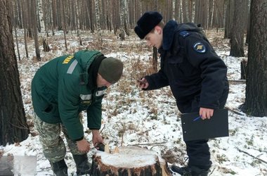 photo_5233475963406977921_y (1) (1)