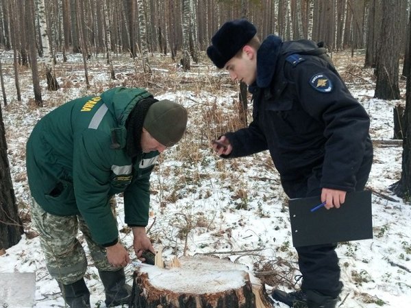 photo_5233475963406977921_y (1) (1)