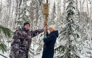 photo_5237858943172808452_y