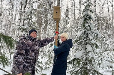 photo_5237858943172808452_y