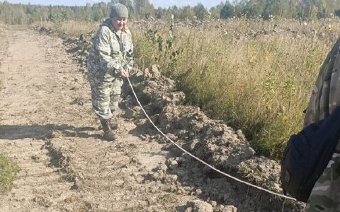 Старший государственный инспектор по охране леса Марина Мурашка совместно с сотрудниками Пировского лесничества провели приёмку работ по компенсационному лесовосстановлению.