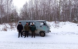 photo_5334675816786365661_y