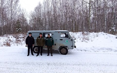 В преддверии новогодних праздников на территории Красноярского края стартовала ежегодная операция «Новогодняя Ель», в рамках которой межведомственные группы усилили охрану хвойных молодняков.