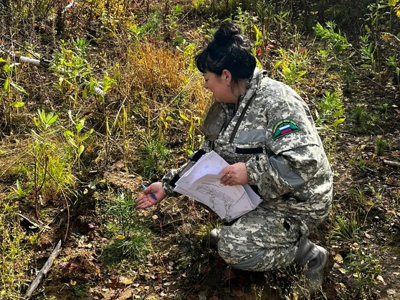 photo_5354999752351151999_y (1)