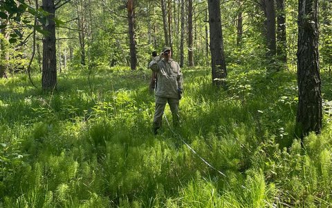 На территории Сухобузимского лесничества был осуществлен контроль выполненных мероприятий, предусмотренных государственным заданием.