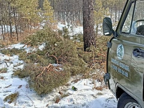 photo_5368658641705626019_y