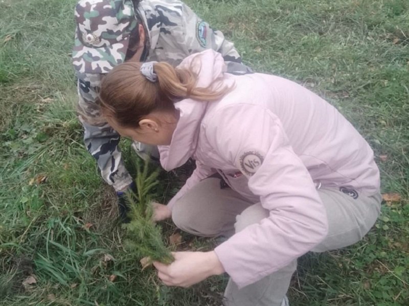 photo_5395525826805628036_y