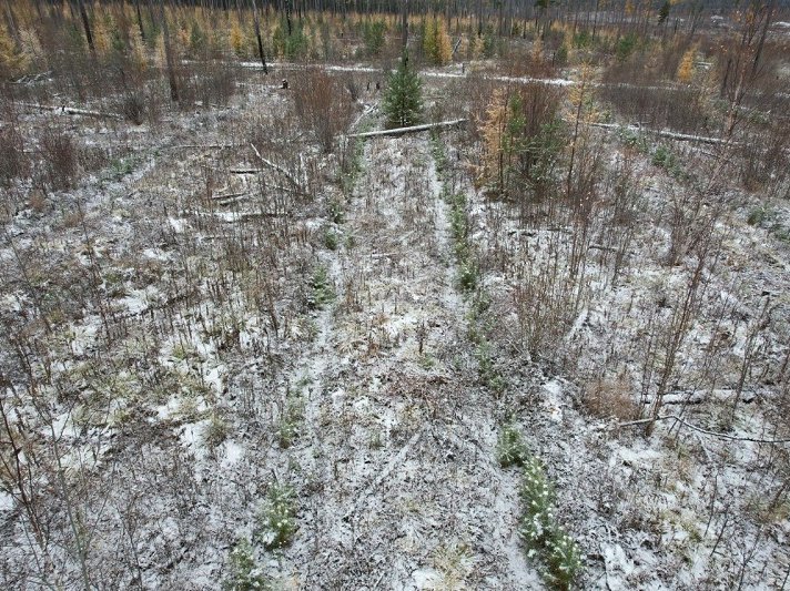 photo_5420520990280120345_y