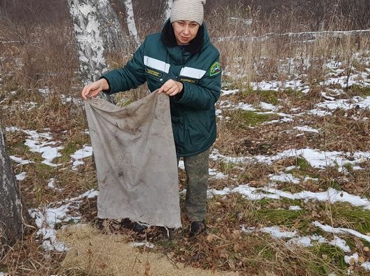 photo_5425067896062738248_y