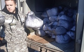 photo_5445233733885096760_y