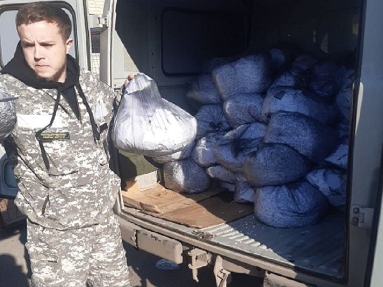 photo_5445233733885096760_y