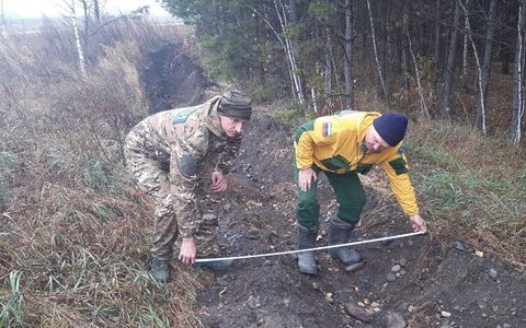 Старший государственный инспектор по охране леса Николай Дубровин совместно с сотрудниками лесничества и ЛПС провели патрулирование территории Курагинского лесничества.