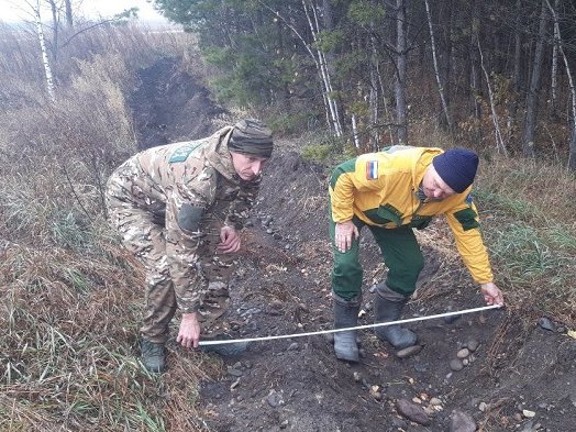 photo_5465239893413329164_y